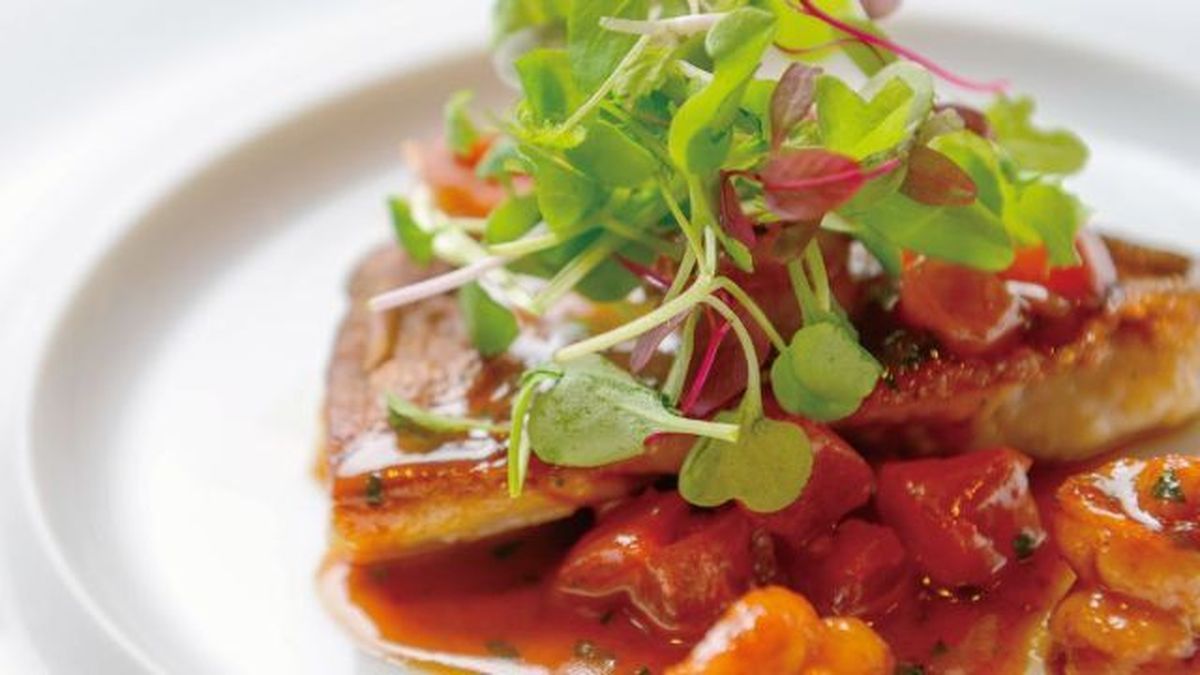 Trattoria Pappa - Restaurant Guide - TableCheck