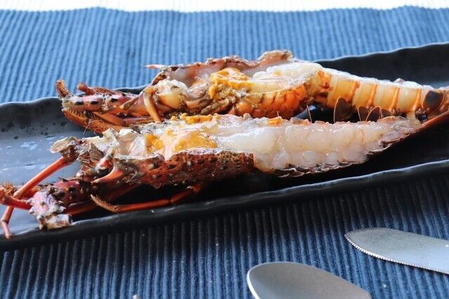 テラス キャンプ BBQ 真鶴 魚座