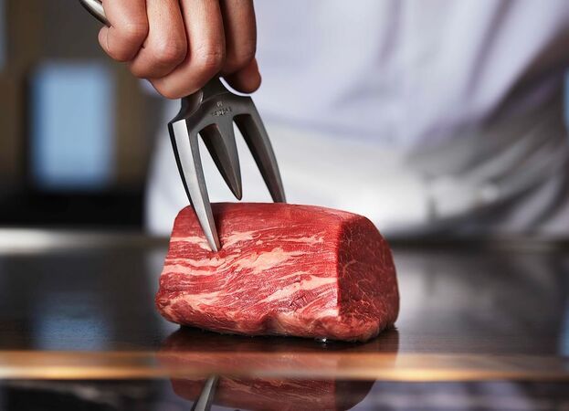 ​Teppanyaki MYDO