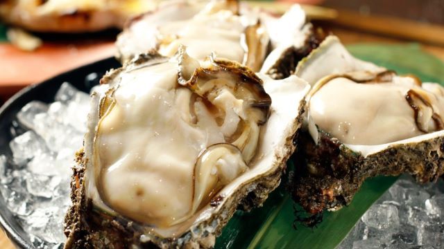 Ginza Hakobune Sakuragicho Cross Gate ten