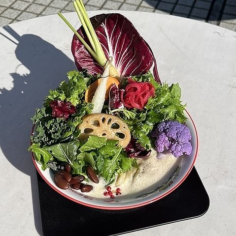 Tokyo Vegan Ramen Center