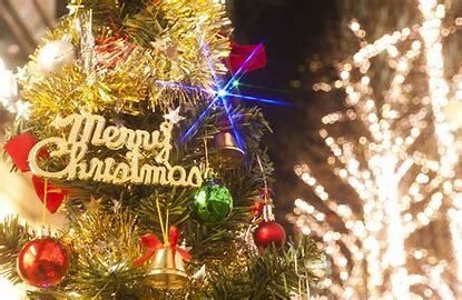 [Limited to December 22nd-23rd / 12 varieties] Christmas Dinner with 100 Scenes on Earth - A Holy Feast of Japanese Cuisine and Sparkling Night Views - Includes a Sparkling Wine Toast