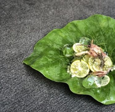 おまかせコース（ガストロノミー)フュージョン料理。