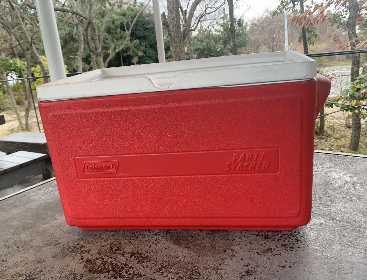 クーラーボックス30Lサイズ （氷3kg付）