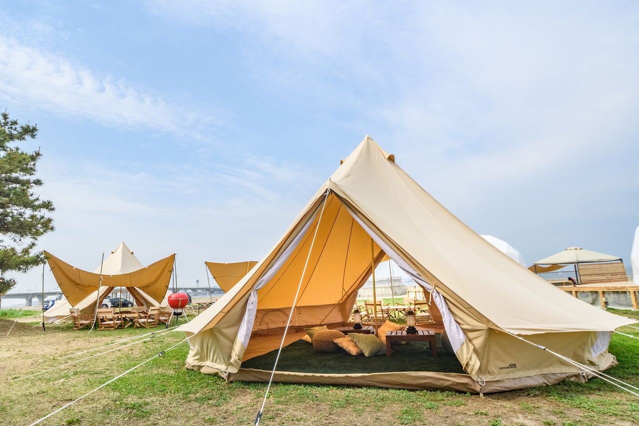 [Site fee] Green site