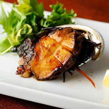 鮑魚課程鮑魚課程