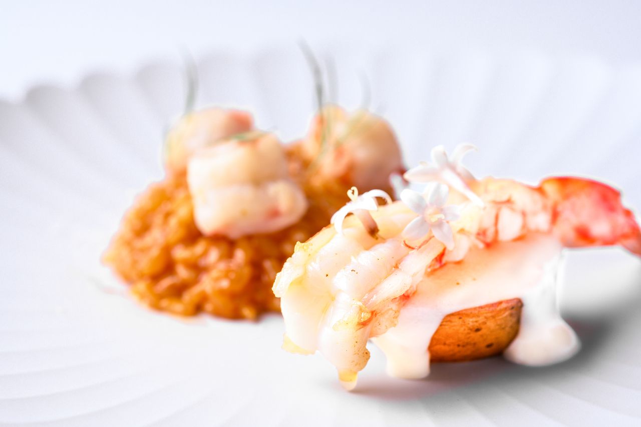 [Chef's Special] Luxurious 8-course creative cuisine