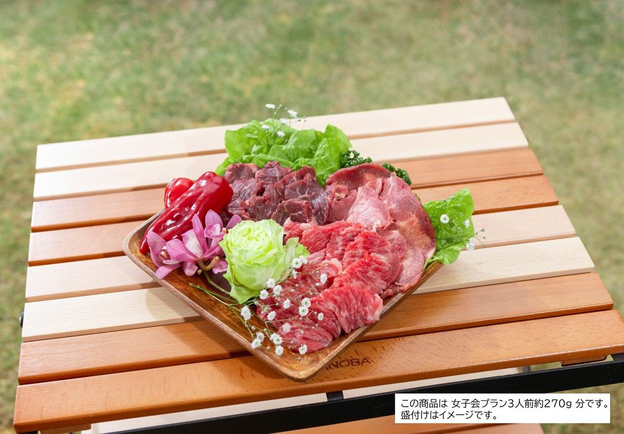 Girls' Party Plan [Regular Area]