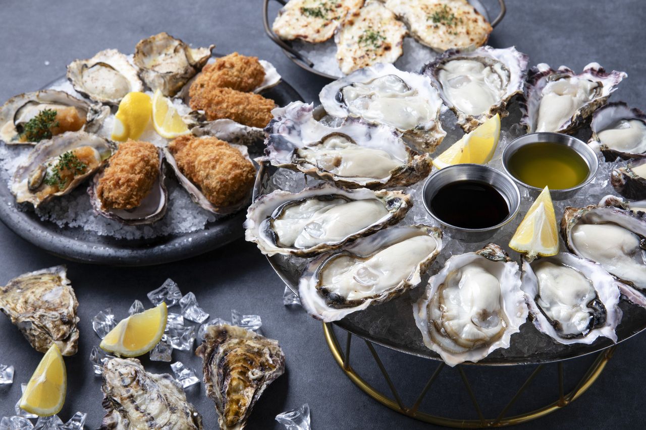 Official website discount benefits ■ Oyster full course ■ <Enjoy oysters in luxury>