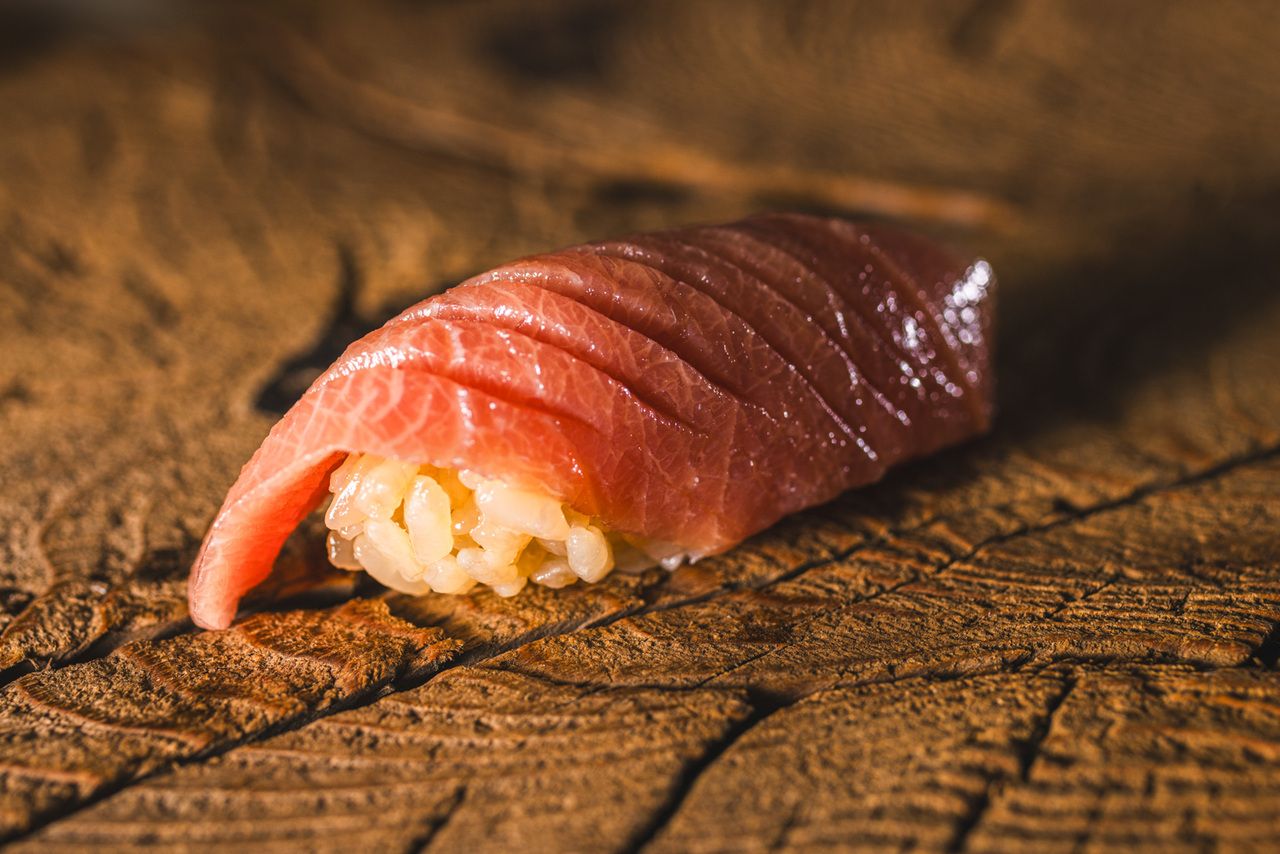 おまかせ　12000円コース