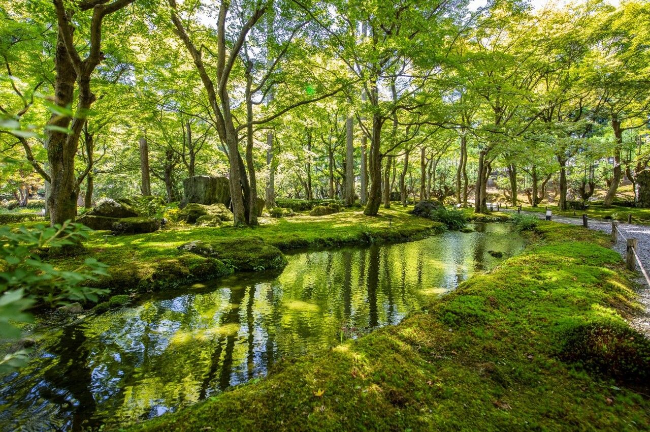 【しょうざん庭園チケット付き】アフタヌーンティー 