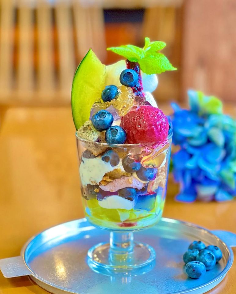 Freshly picked farm blueberry parfait (special size)