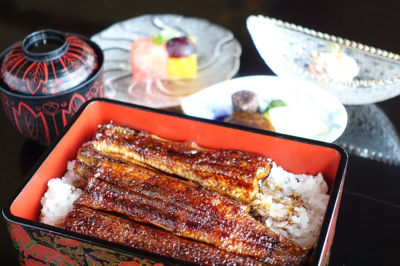 Grilled eel and rice set