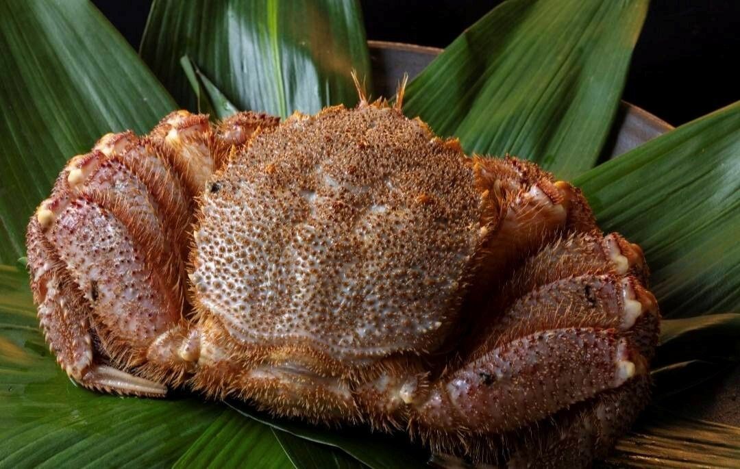 生うにと特大毛蟹のコース【3名様まで】(表示価格は1名様分です)