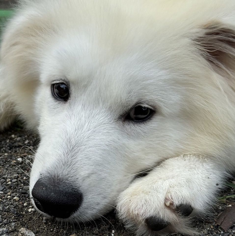 【事前予約/平日】店舗利用チケット（1時間）