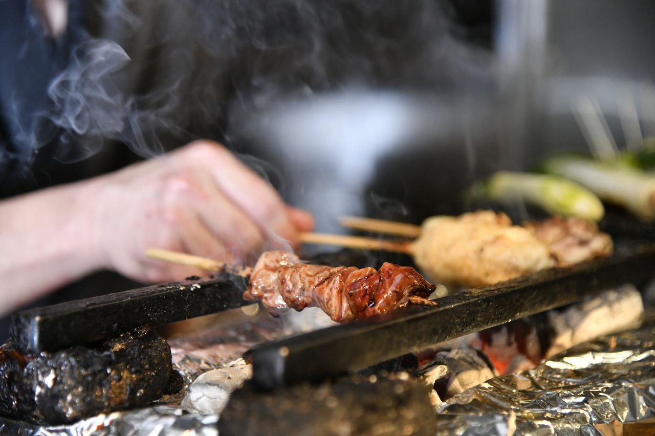 【料理のみ】比内地鶏を堪能『厳選焼鳥6本』コース 