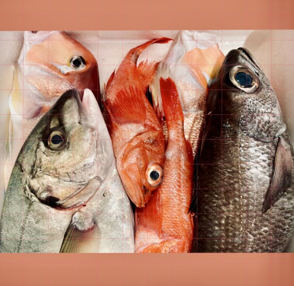 おまかせフルコース