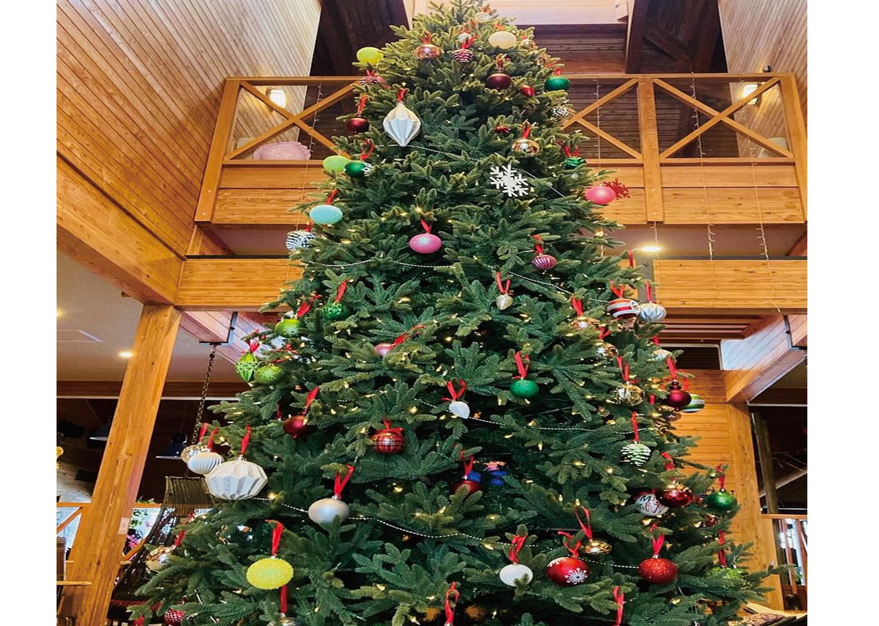 Weihnachtsbegrenzter Spezialkurs