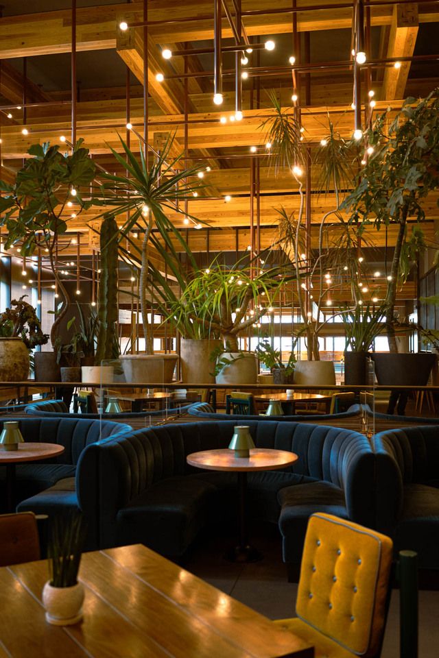 12月31日限定　シャンパン付き飲み放題プラン