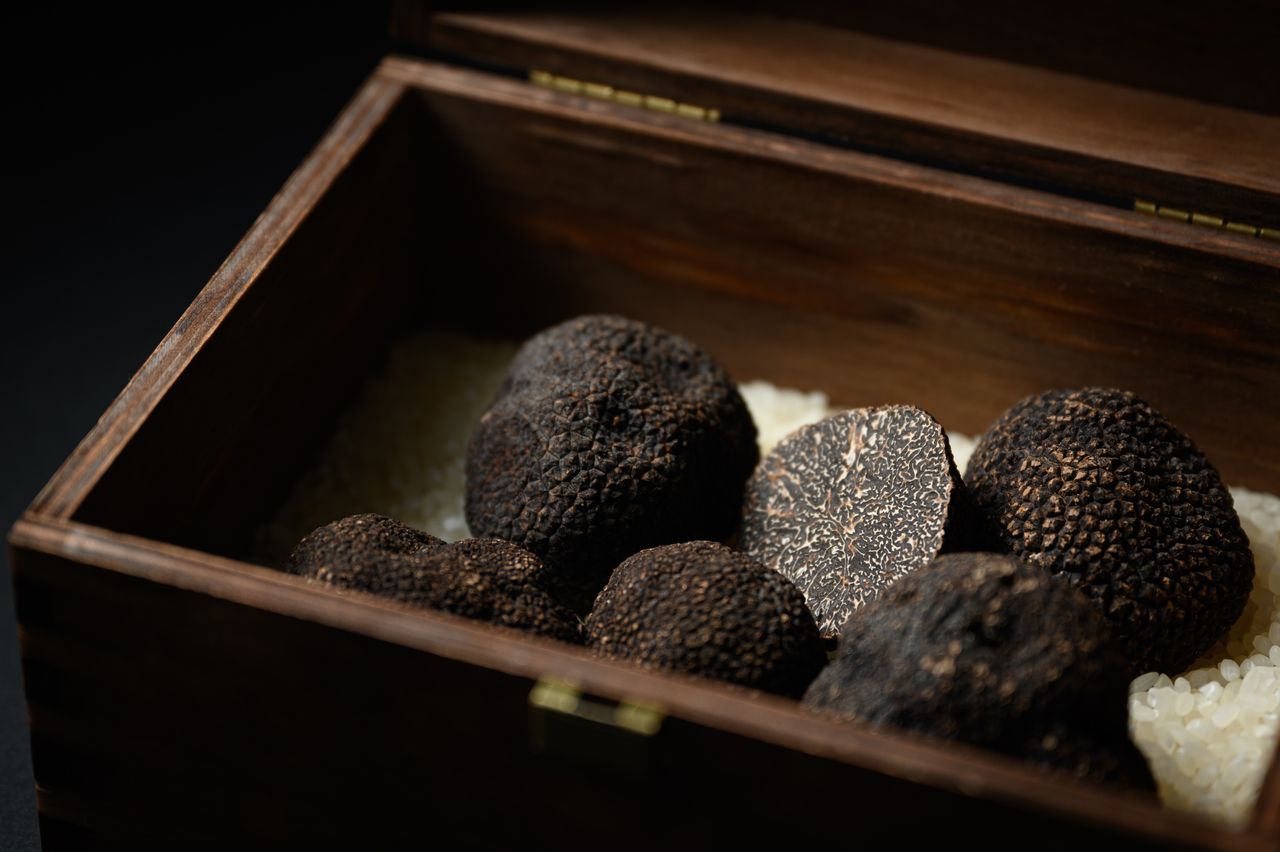「黒トリュフ会」~Truffe noire~