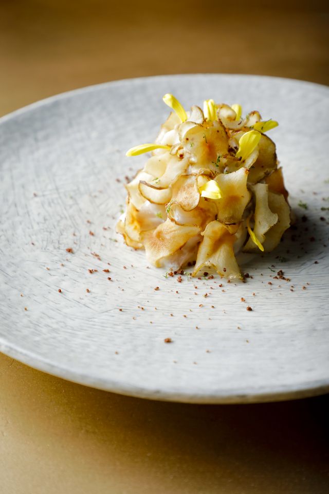 Dinner Course Land to Table