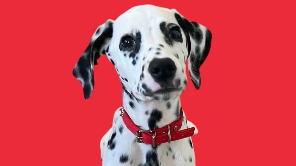  Interactive Course (50 minutes)