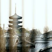 Seasonal Mamecha Lunch Kaiseki