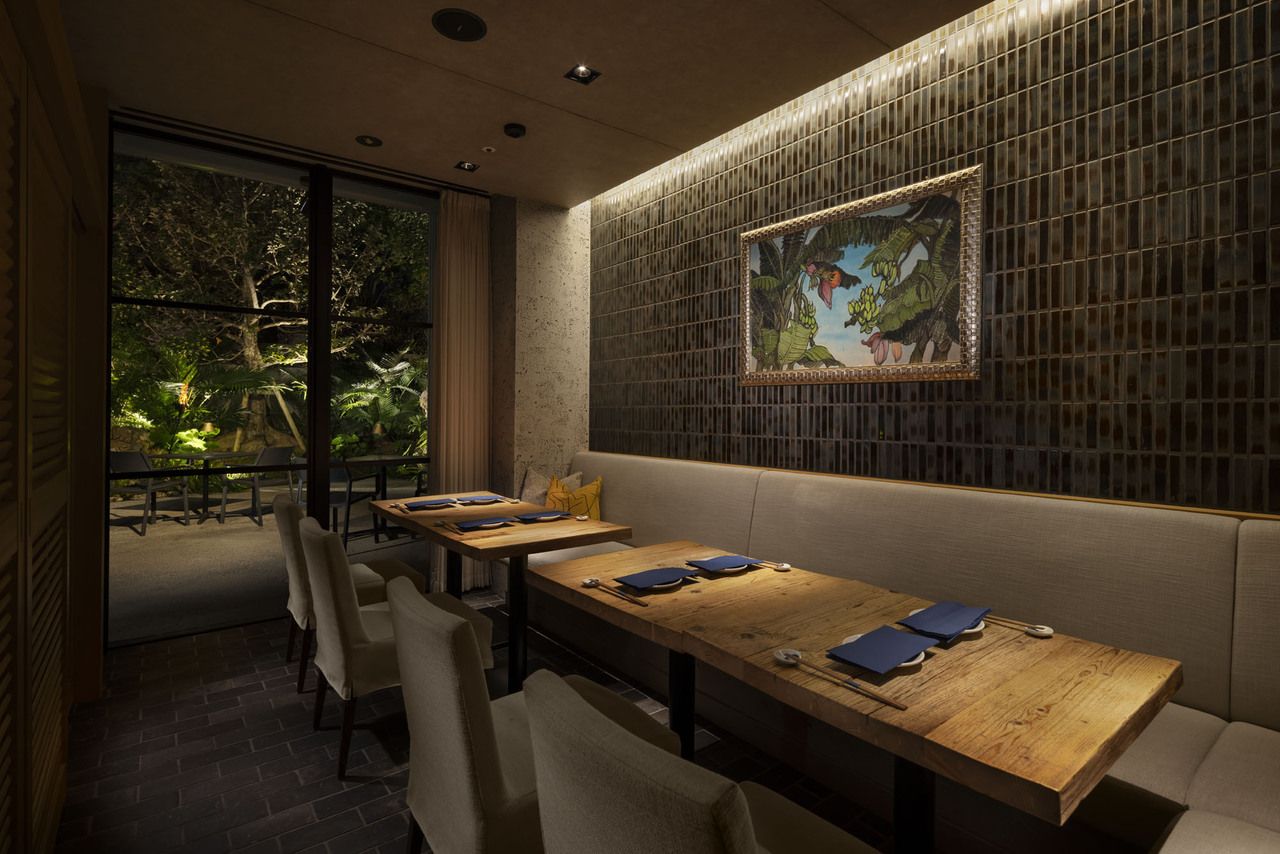 [DINNER | Private room guaranteed for 6 people or more] SHIKAKU full course with all-you-can-drink, 7 dishes total