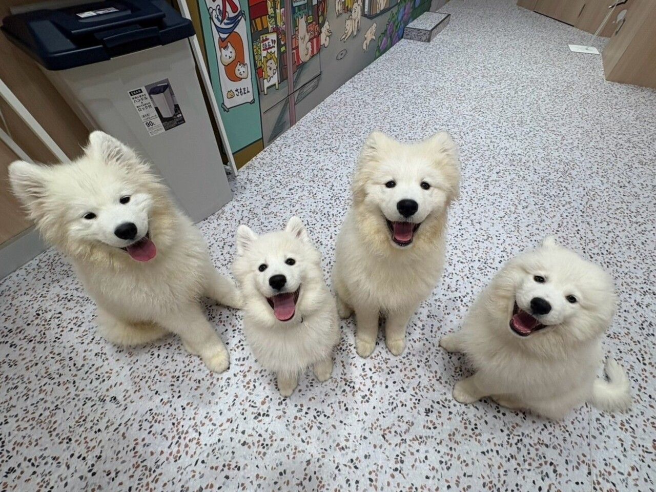 ≪平日≫通常チケット（50分）