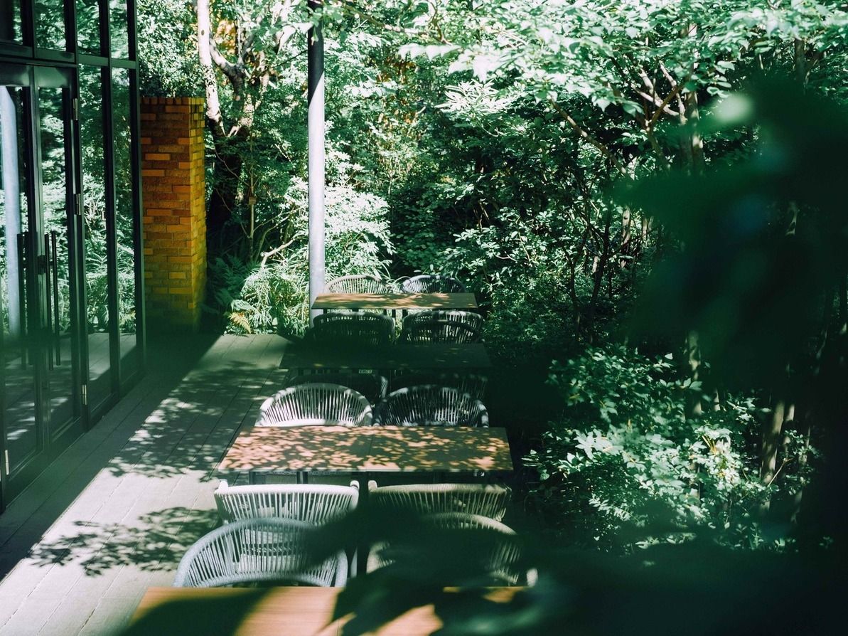 [Fresh Green Lunch Course - No Seating Reservation Required] April 29th - May 25th Fresh Green Lunch Course - No Seating Reservation Required - 5500 yen (LUNCH)