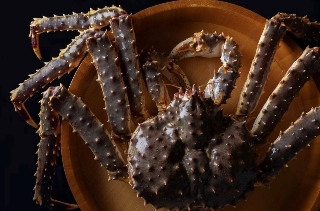 Specially selected eel and live king crab course (Price shown is for one person)