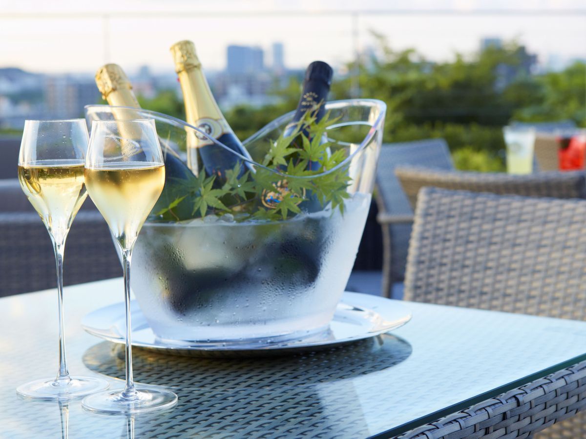 [1F Garden Lounge Area/Chairs] Adults (20 years old and over)