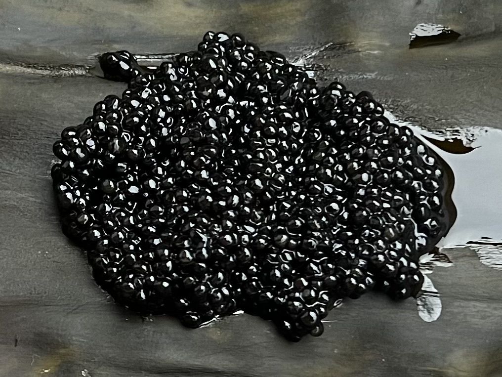 Seasonal Course (10–12 dishes depending on market availability, including wood-fired caviar)