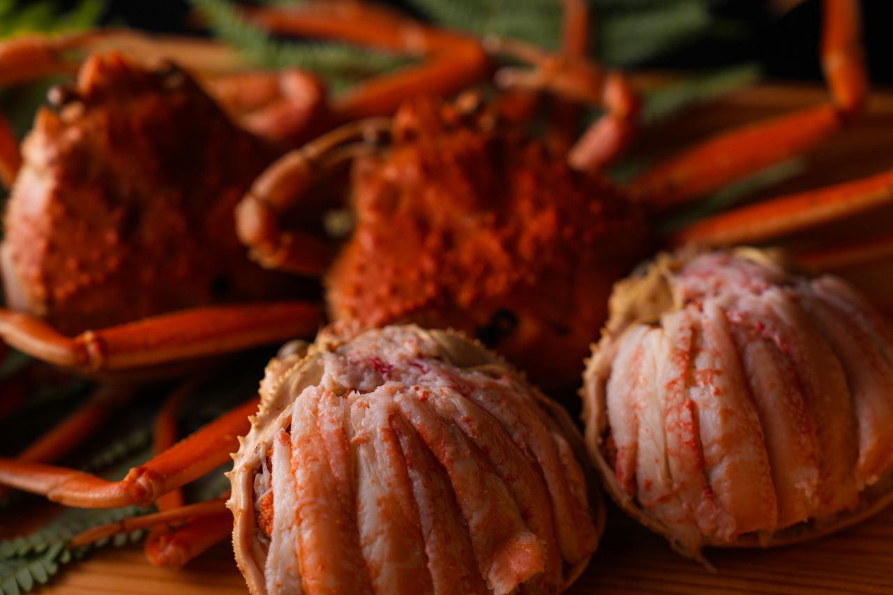 【せいこ蟹×和ガストロノミーコース】13,200円