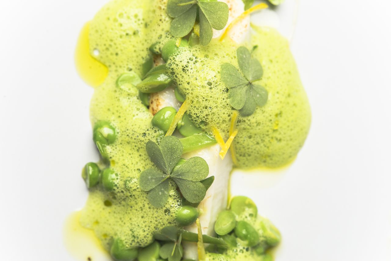 naturamディナーコース（8品）