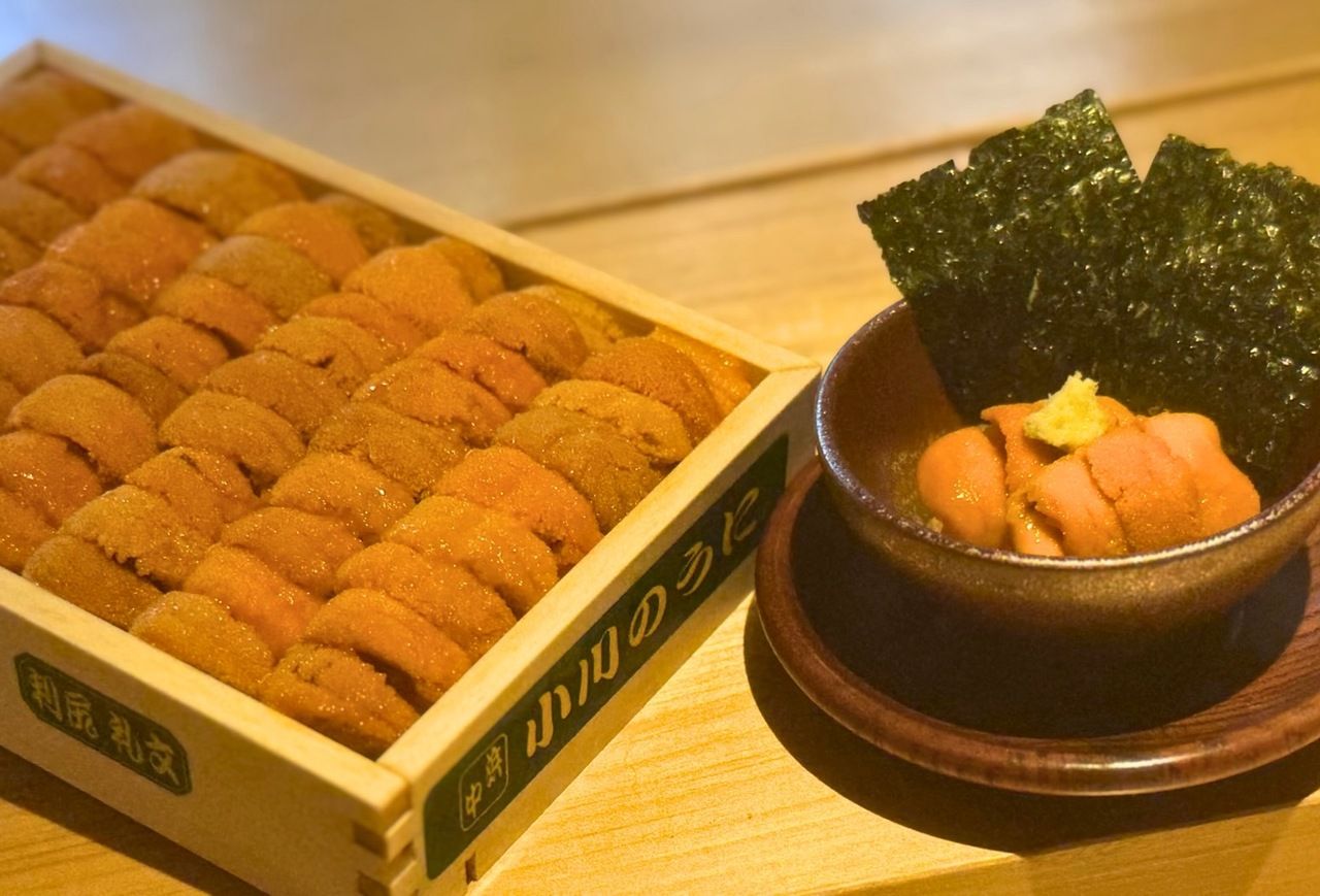 [Special Sea Urchin Double Course] Includes Hokkaido sea urchin (extra large portion) / Chef's choice course of 20 dishes made with seasonal ingredients (12 nigiri sushi, 7 appetizers, and soup)