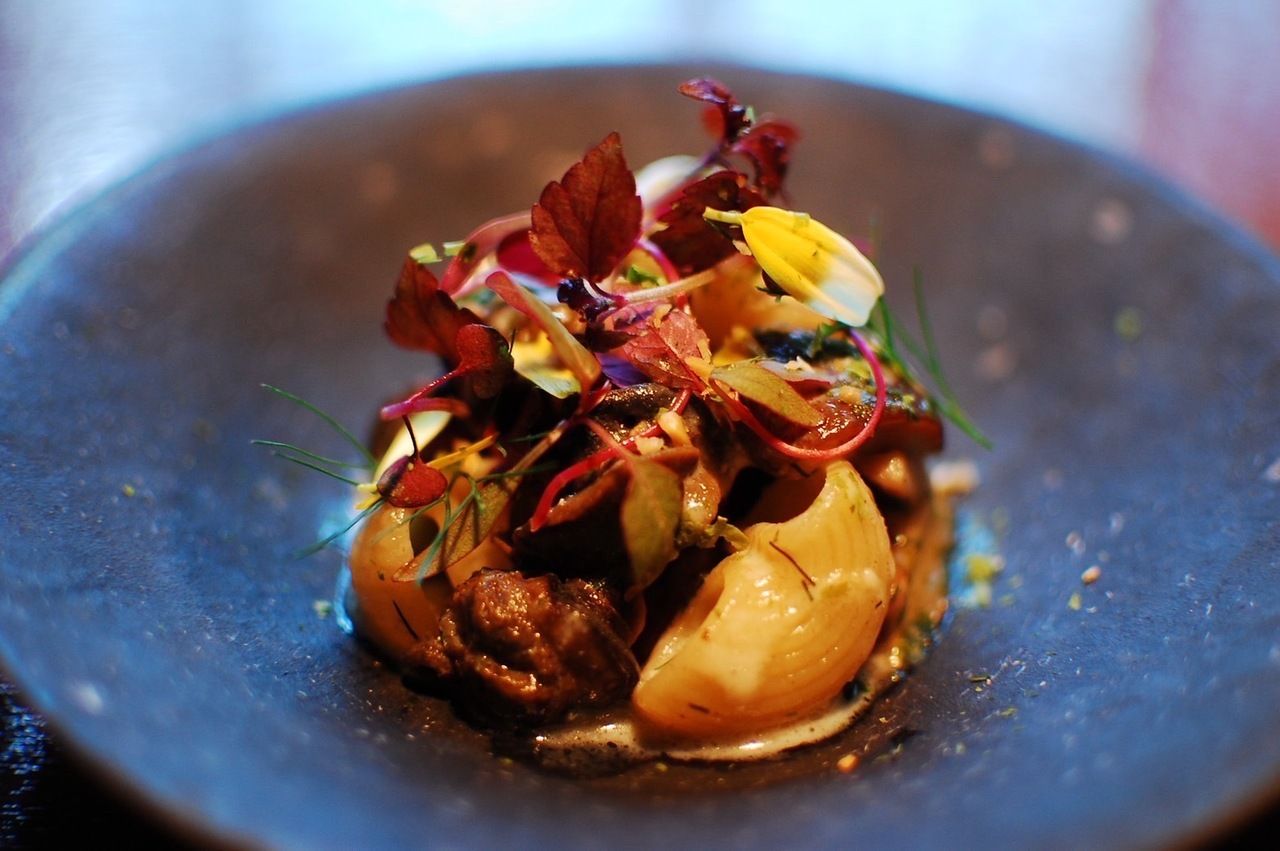 Japanese and Italian eclectic