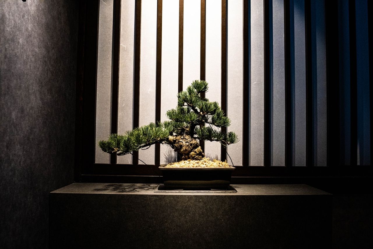 セレクトコース