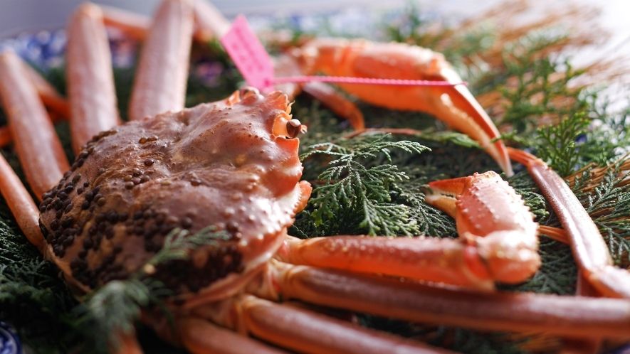 ブランドタグ付き　活ズワイ蟹コース