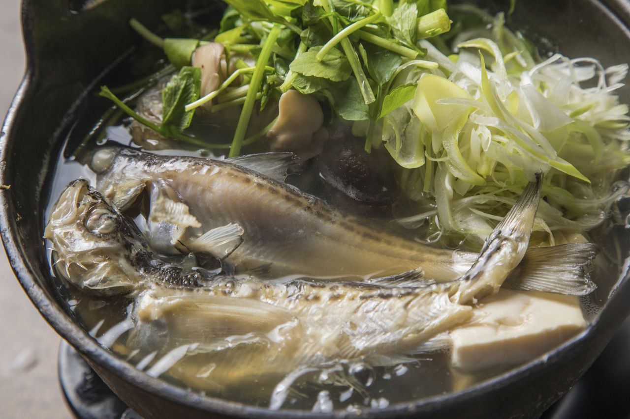 【11月〜】秋田満喫　比内地鶏のだまこ鍋コース【2時間飲み放題付き】　10品8000(税込)