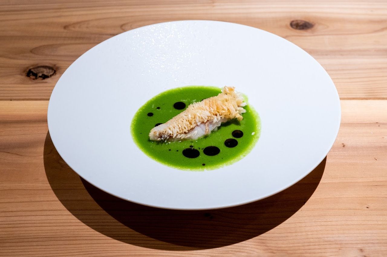 Counter Lunch Course