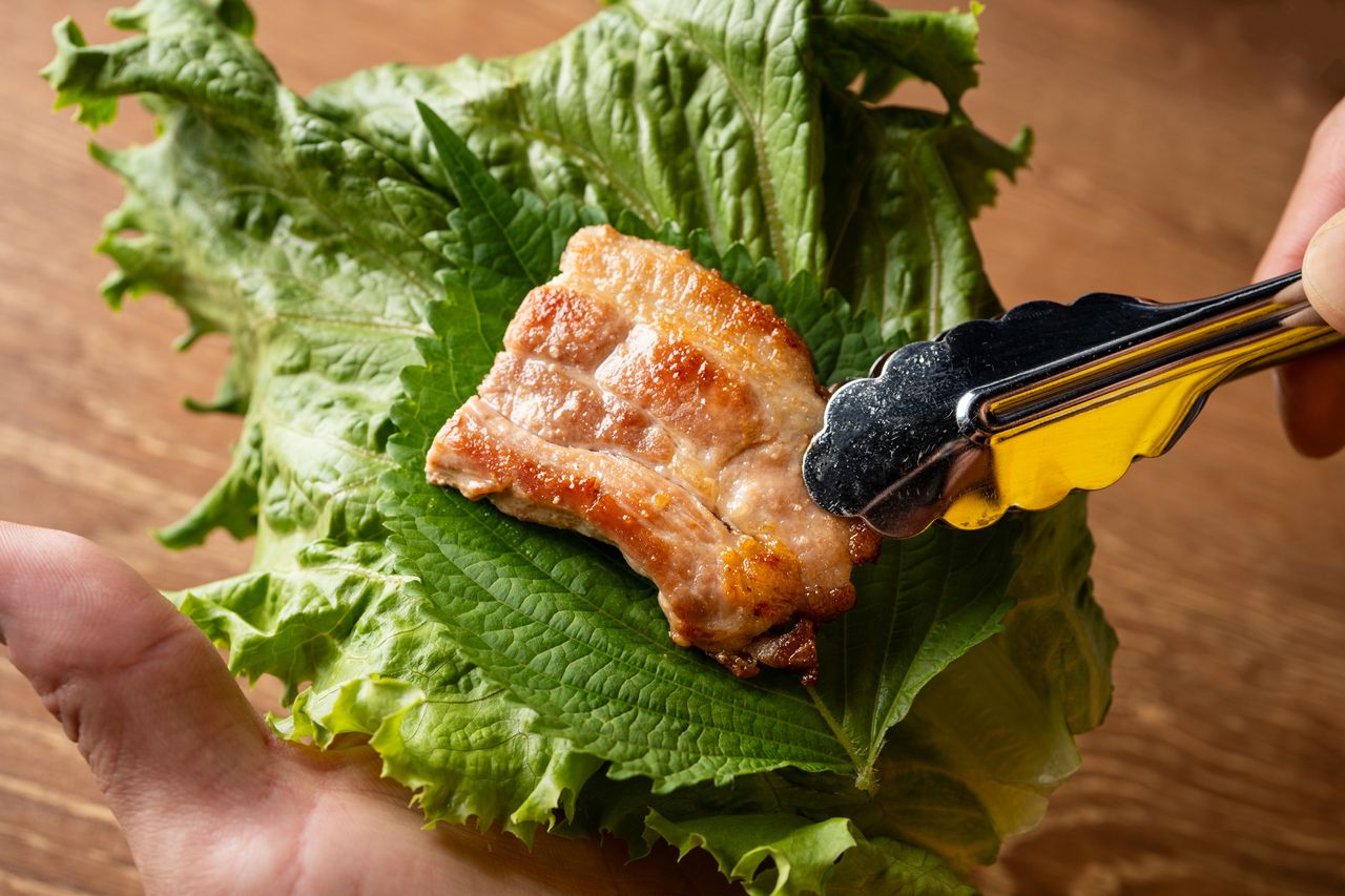 ★ワンドリンク付き★✰サムギョプサル鉄板×韓国人気料理コース！2300円