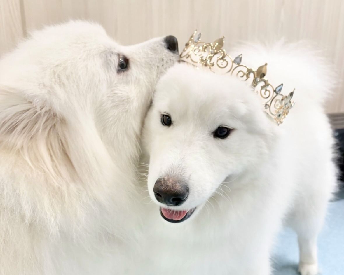  Regular ticket (50 minutes)