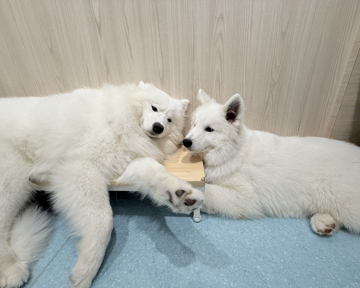  Regular ticket (50 minutes)