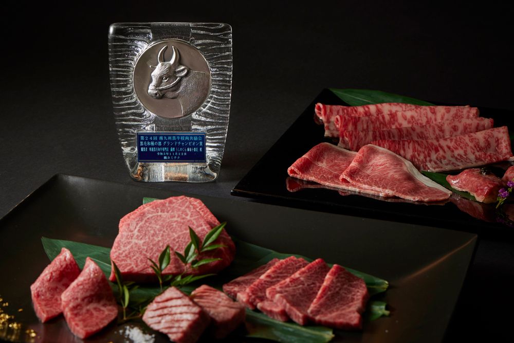 [3時間飲み放題付き] 2025年 品評会受賞牛特別コース シャトーブリアン付き