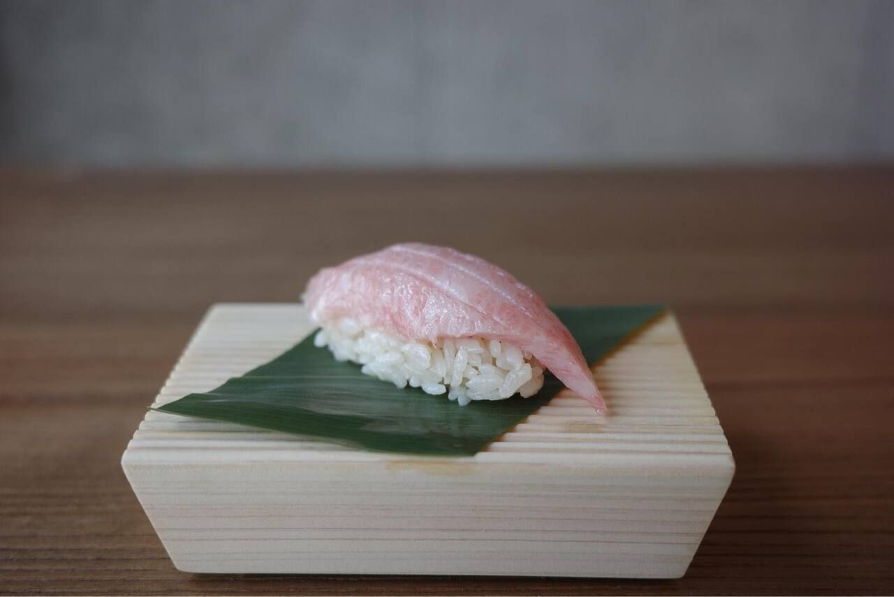 橘湾海洋馈赠基础课程