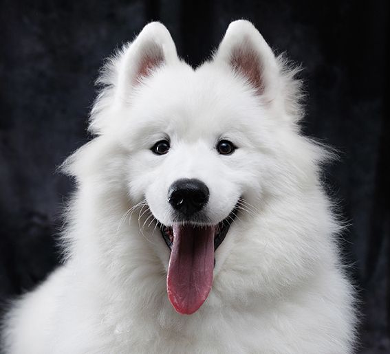 Reservations (weekdays)