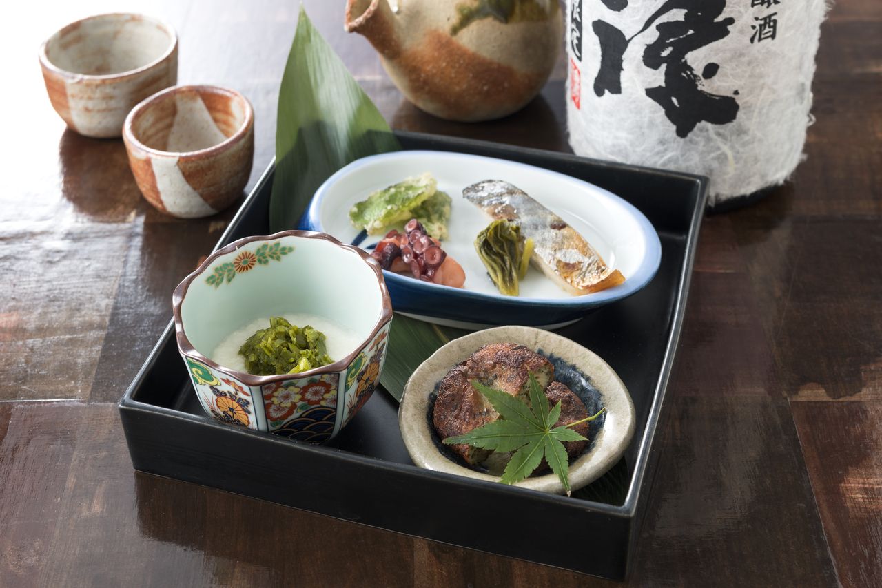 메밀 새싹 코스