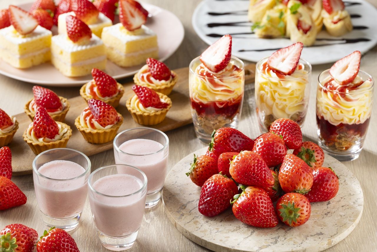 Buffet de Saison 春～Spring～ランチブッフェ（平日）/お子様（4歳～小学生）