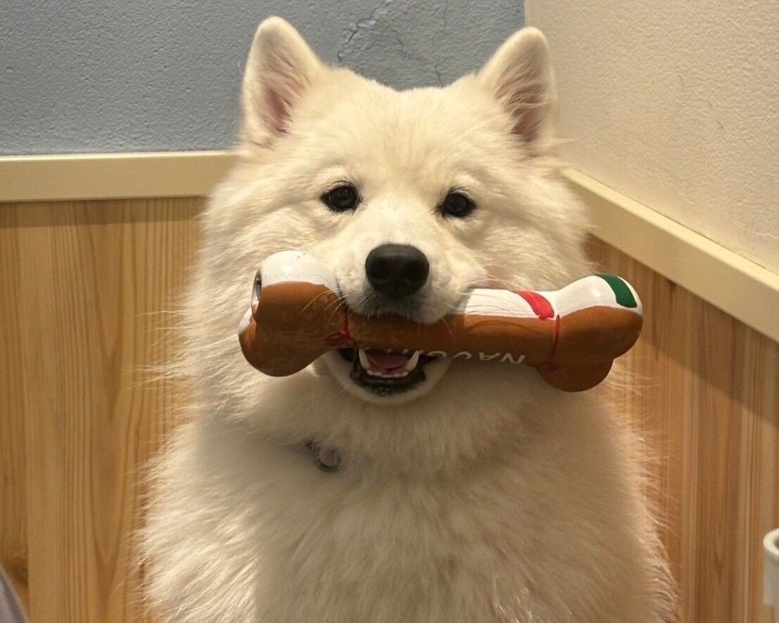 ≪ゴールデンウイーク期間≫通常チケット（50分）